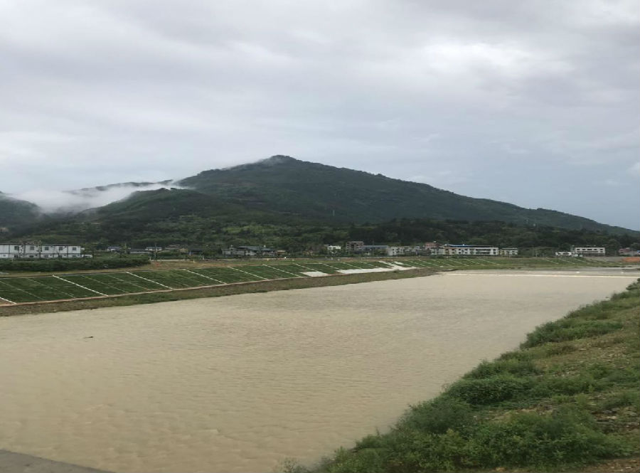 1564726286918212.jpg 2.jpg